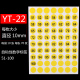 YT-22 5包装