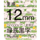 12mm TZe-SG31 绿底黑字 5M 史努比